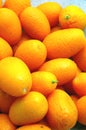Kumquats Royalty Free Stock Photo