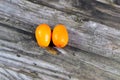 Kumquats, cumquats, a group of small, angiosperm, fruit-bearing trees in the family Rutaceae, golden orange, an edible fruit Royalty Free Stock Photo