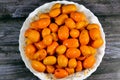 Kumquats, cumquats, a group of small, angiosperm, fruit-bearing trees in the family Rutaceae, golden orange, an edible fruit Royalty Free Stock Photo