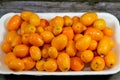 Kumquats, cumquats, a group of small, angiosperm, fruit-bearing trees in the family Rutaceae, golden orange, an edible fruit Royalty Free Stock Photo