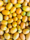 Kumquit - small, outlandish, citrus fruits