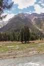 Beautiful kumrat valley forest view