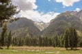 Beautiful kumrat valley forest mountains