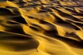 Kumtag desert landscape Royalty Free Stock Photo