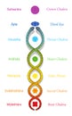 Kundalini Serpent Sanskrit Coiled Snake Chakras Names Symbols