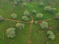 Kuneer Hill, Malang, East Java, Indonesia