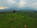 Kuneer Hill, Malang, East Java, Indonesia