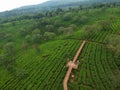 Kuneer Hill, Malang, East Java, Indonesia