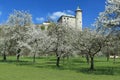Kuneticka hora in spring Royalty Free Stock Photo