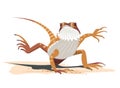 Kung Fu of the Bearded Dragon Royalty Free Stock Photo