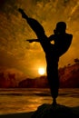 Kung Fu fighter practising at sunset