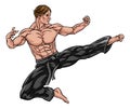 Kung Fu or Karate Flying Kick Royalty Free Stock Photo