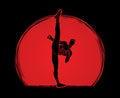 Kung fu, Karate high kick front view Royalty Free Stock Photo