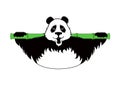 Kung Fu Panda Holding a Bamboo Stick Vector