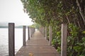 Kung Kraben Mangrove forest