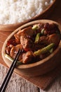 Kung pao chicken in a bowl close up and rice. vertical Royalty Free Stock Photo