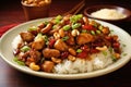 Kung pao chicken over rice, chinese food Royalty Free Stock Photo