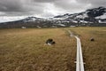 Kungsleden footpath Royalty Free Stock Photo