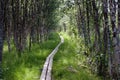 Kungsleden footpath with Wooden Planks Royalty Free Stock Photo