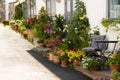 Flowers decorating the exterior of a wooden house..