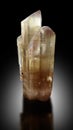 Kunzite var spodumene crystal mineral specimen from afghanistan Royalty Free Stock Photo