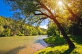 Kupa river green landscape near Severin in Gorski Kotar region of Croatia Royalty Free Stock Photo