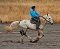 The art of horse riding