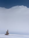 Kurai Ridge, Western Siberia, Russia. Lonely Yellow Larch Tree On The Background Of Foggy Rocky Altai Mountains And Cloudless Blue