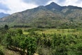 The Kurangani Hills near Bodinayakkanur in Theni district