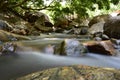 Kurangani River In Tamil Nadu