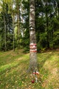 Kurapaty Forest Massacre. Memorial to the Victims of the Stalin-era Repressions in Kurapaty,