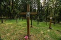 Forest and Crosses at Mass Grave in Kurapaty, near Minsk, Belarus. Place of Mass Executions During Great Purge by NKVD