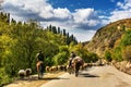 Kurdish Ning scenery in Xinjiang, China Royalty Free Stock Photo