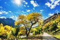 Kurdish Ning scenery in Xinjiang, China Royalty Free Stock Photo