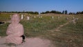 Kurgan stelae aka Balbals near the Berana tower, Tokmok,Chuy Valley Kyrgyzstan Royalty Free Stock Photo