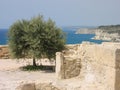 Kurion - Cyprus