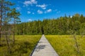 Kurjenrahka National Park. Nature trail. Green forest at summer time. Turku, Finland. Nordic natural landscape. Scandinavian