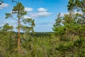 Kurjenrahka National Park. Nature trail. Green forest at summer time. Turku, Finland. Nordic natural landscape. Scandinavian