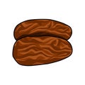 Two Dates dried fruits, dry food snacks vector illustration Royalty Free Stock Photo