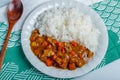 Kurobuta pork curry rice, Japanese food Royalty Free Stock Photo