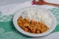 Kurobuta pork curry rice, Japanese food Royalty Free Stock Photo