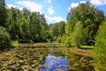 Sunny day on a cozy forest lake