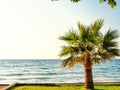 Kusadasi turkey beachfront and sea views. The nearest national park Royalty Free Stock Photo