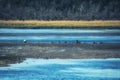 The Kushiro Wetland, Kushiro, Hokkaido, Japan