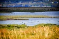 The Kushiro Wetland, Kushiro, Hokkaido, Japan