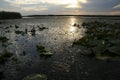 Kushugumskie melt on the Dnipro river