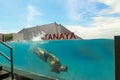 Kuta, Bali, Indonesia, March 14, 2021. Underwater photo of caucasian man diving in the swimming pool with transparent