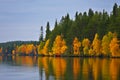 Kuusamo Lake in autumn. Royalty Free Stock Photo