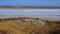 Kuyalnik estuary, Black Sea. Rose water in the estuary, salt water from Artemia and Dunaliella