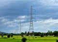 The 230kV transmission line towers on a rice field in the countryside Royalty Free Stock Photo